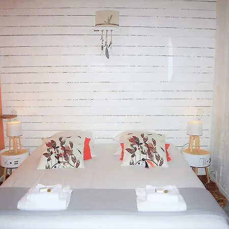 La Carcassonne, D Hotes, B&b, Face A La Cite Medievale קרקסון