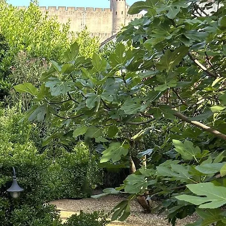 La Carcassonne, D Hotes, B&b, Face A La Cite Medievale