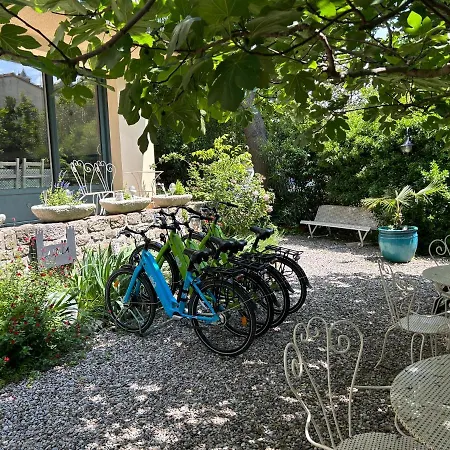 La Carcassonne, D Hotes, B&b, Face A La Cite Medievale קרקסון