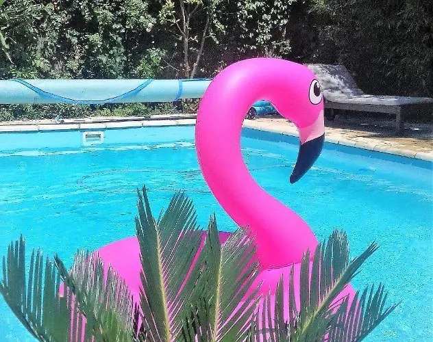 La Carcassonne, D Hotes, B&b, Face A La Cite Medievale 4*