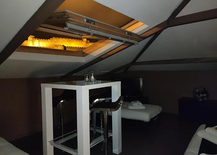 La Carcassonne, D Hotes, B&b, Face A La Cite Medievale 4*